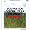 Diagnóstico general subcuenca Río Grande 2004